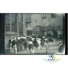Slachthuis Lobith Coll. J.Peet HKR